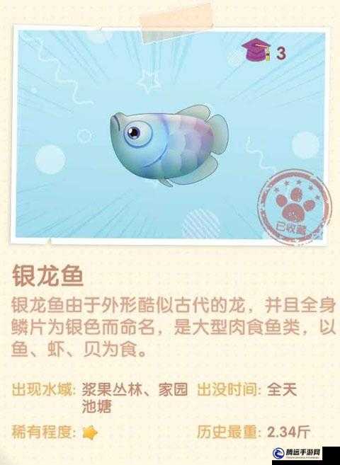 摩爾莊園手游銀龍魚(yú)獲取攻略