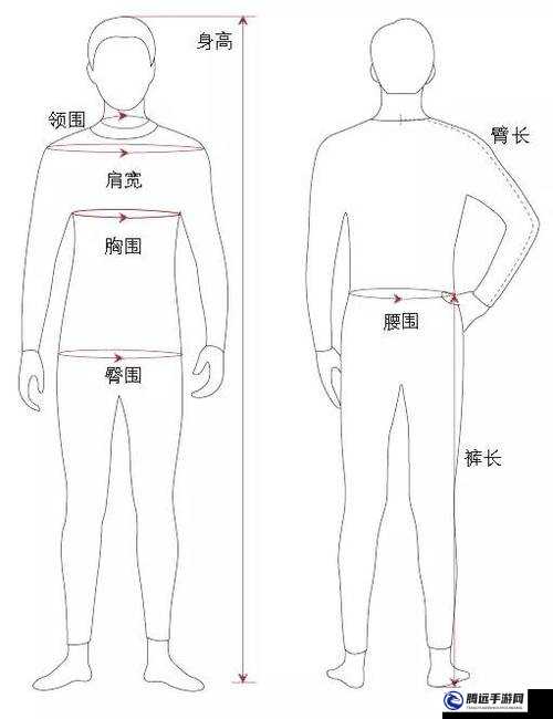 攻城掠地中的三圍指什么