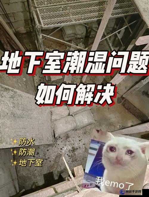 噴潮濕怎么辦到的：探尋解決方法