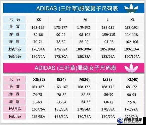 三葉草 M 碼和歐洲碼區(qū)別：大小與版型差異