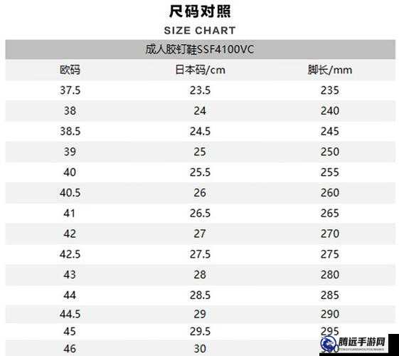 歐洲尺碼日本尺碼專 MBA 智庫：尺碼差異深度解析