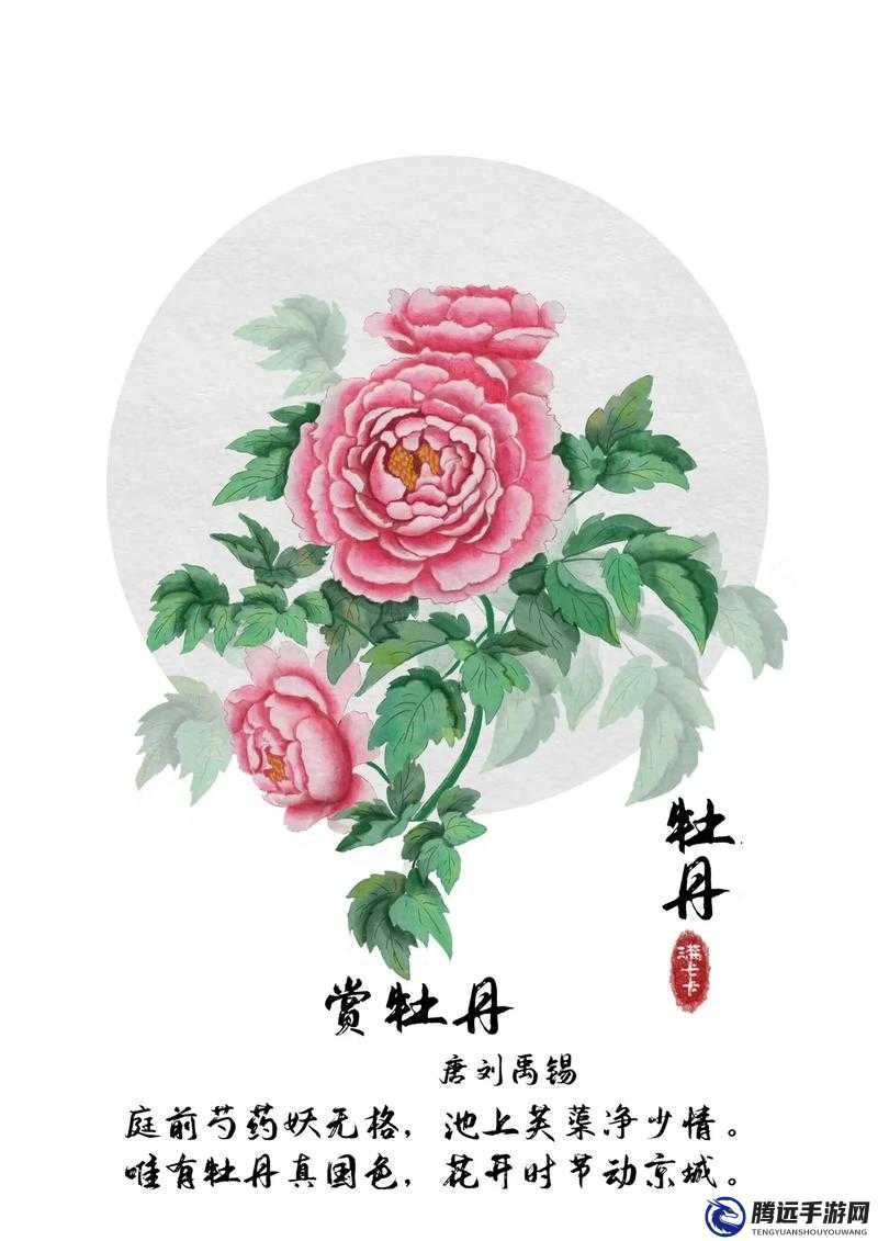 共道牡丹時(shí)相隨買花去：春日賞花樂事