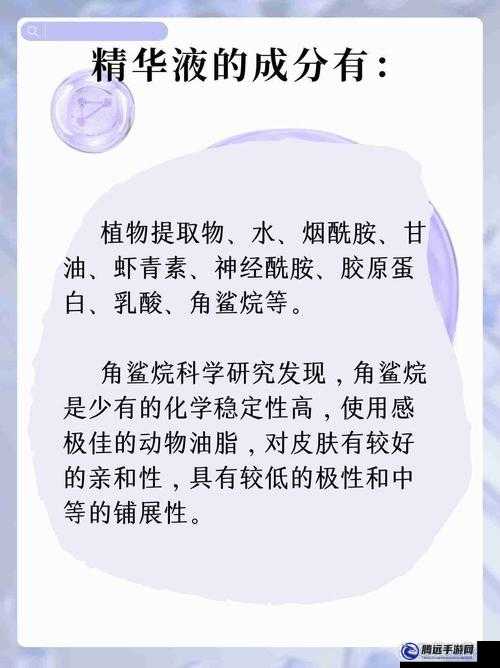 精華區(qū)二區(qū)區(qū)別：功能特點與差異分析