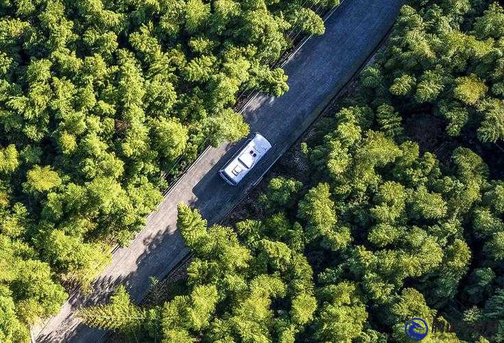 林喜寶公交車：行駛中的獨特風(fēng)景