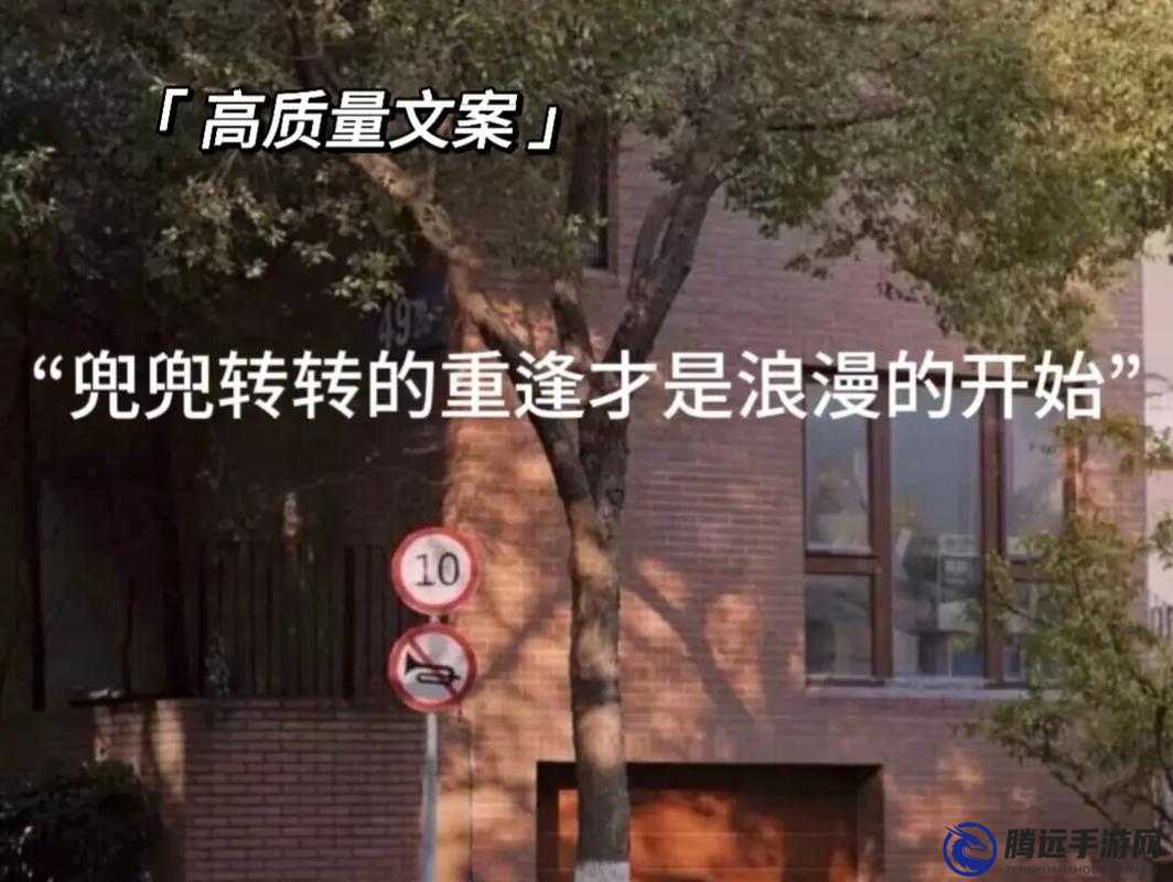 已滿十八周歲從此轉轉：開啟人生新征程