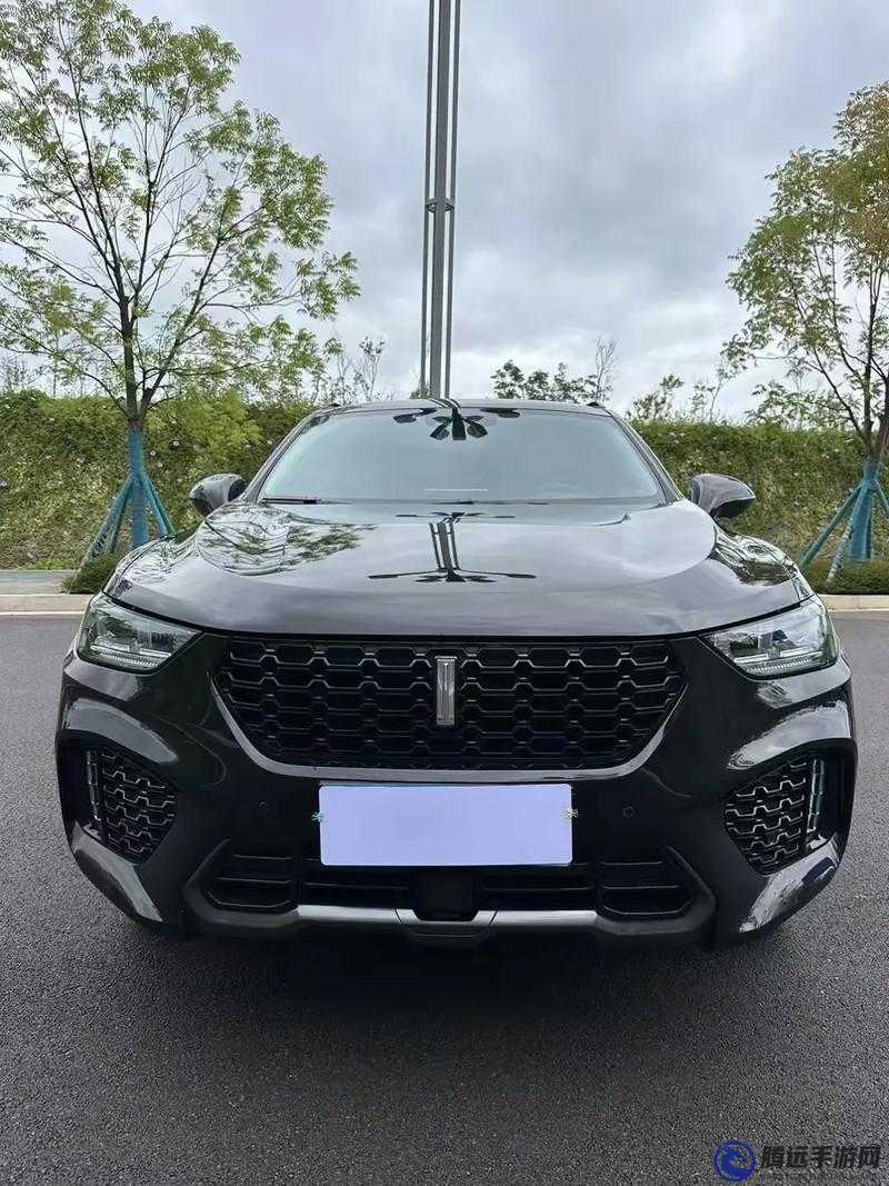 weyvv5 國產(chǎn)的 suv 視頻：精彩呈現(xiàn)卓越品質(zhì)