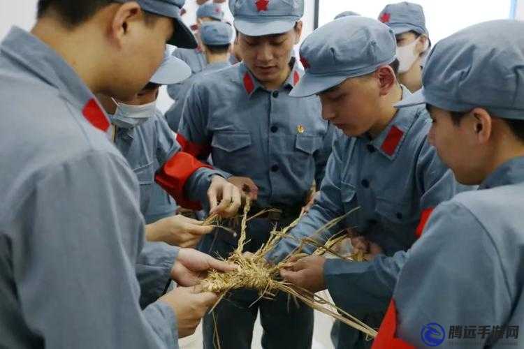 熱血國志制作草鞋與稻草獲取方法簡(jiǎn)介